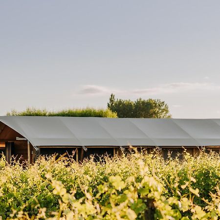 Villas & Vines Glamping Hastings Luaran gambar