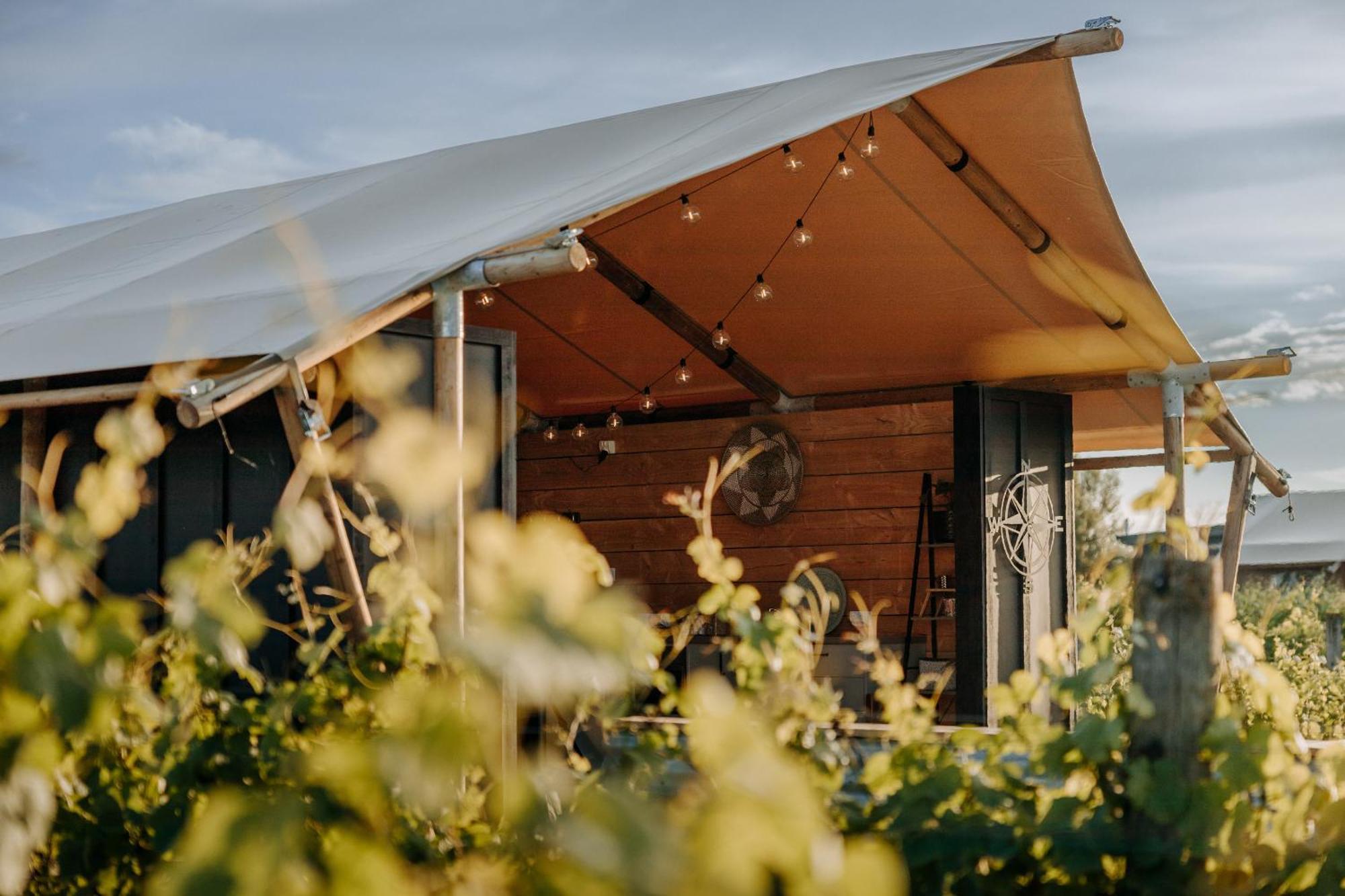 Villas & Vines Glamping Hastings Luaran gambar