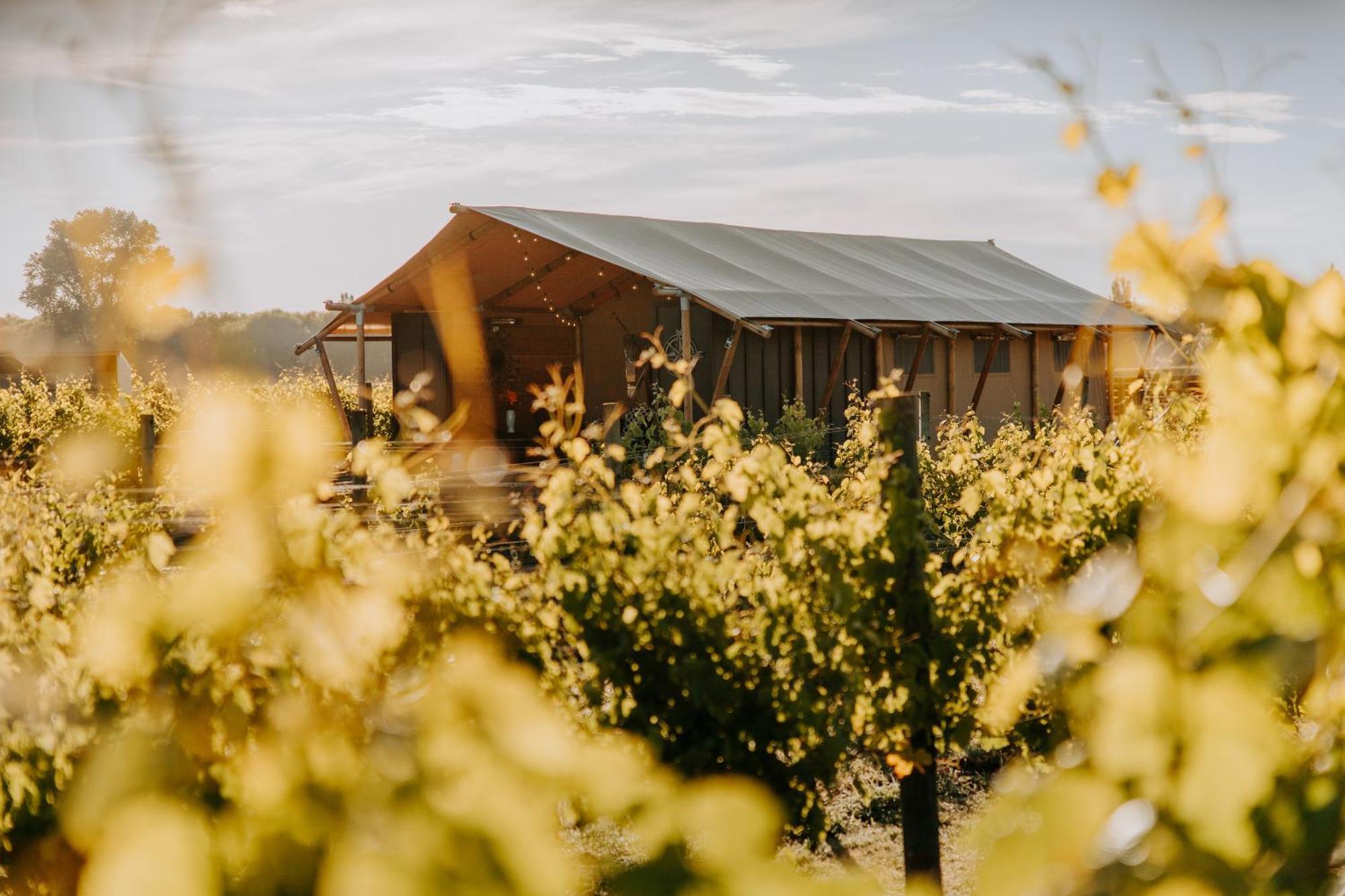 Villas & Vines Glamping Hastings Luaran gambar