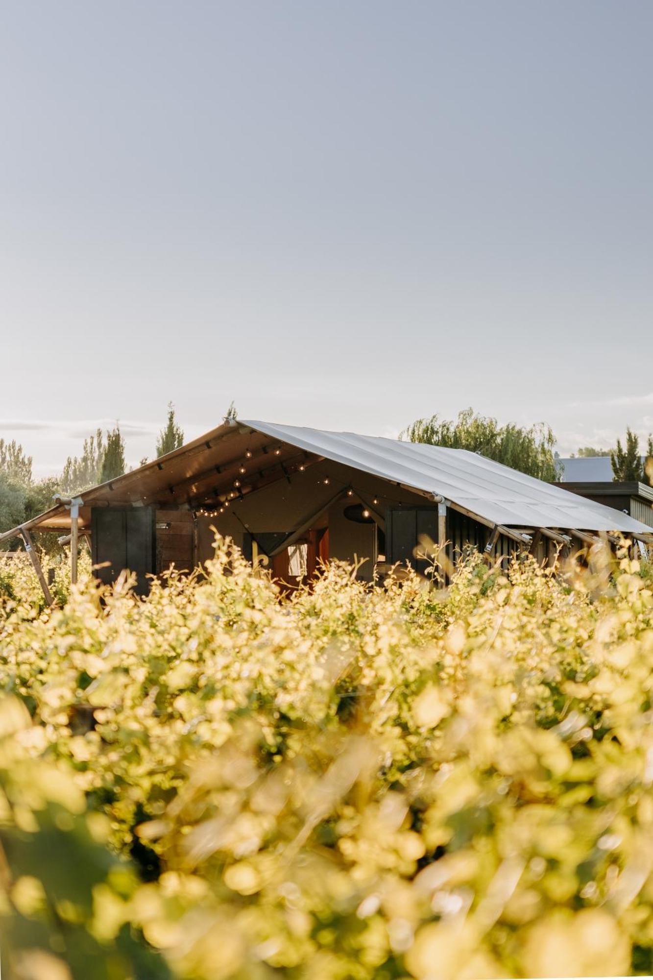 Villas & Vines Glamping Hastings Luaran gambar