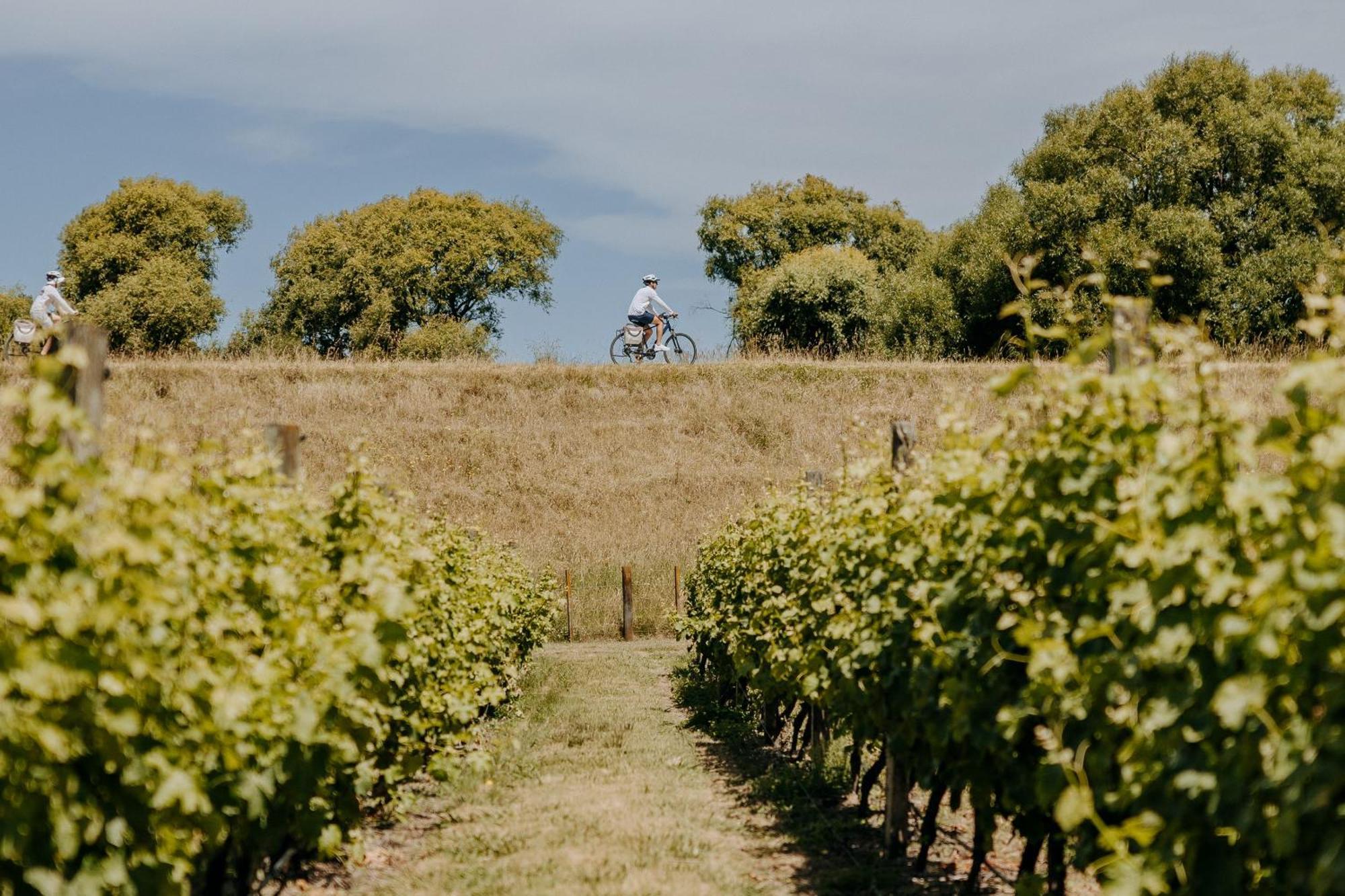 Villas & Vines Glamping Hastings Luaran gambar