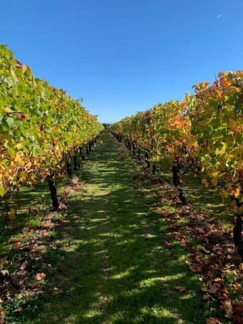 Villas & Vines Glamping Hastings Luaran gambar